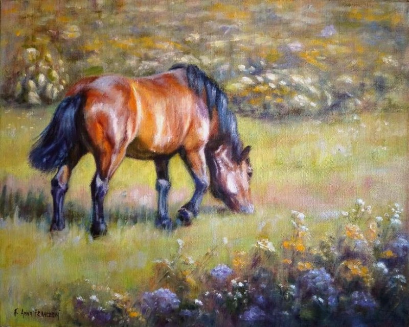 On pasture